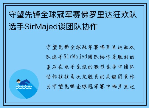 守望先锋全球冠军赛佛罗里达狂欢队选手SirMajed谈团队协作