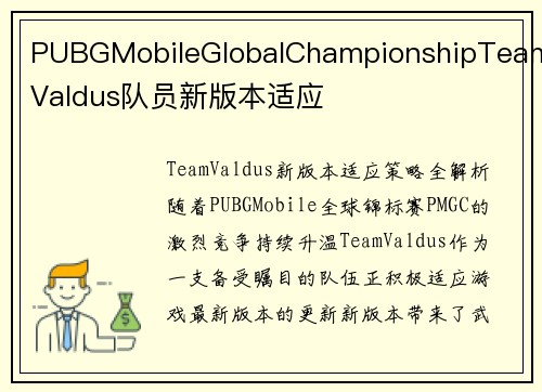 PUBGMobileGlobalChampionshipTeamValdus队员新版本适应